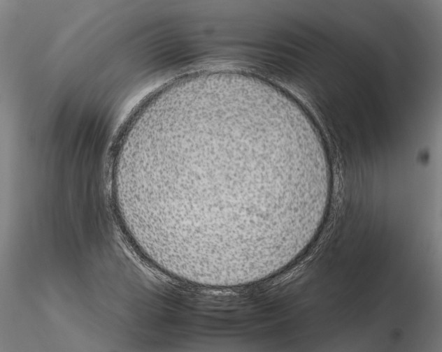 X0000115211119200912091152