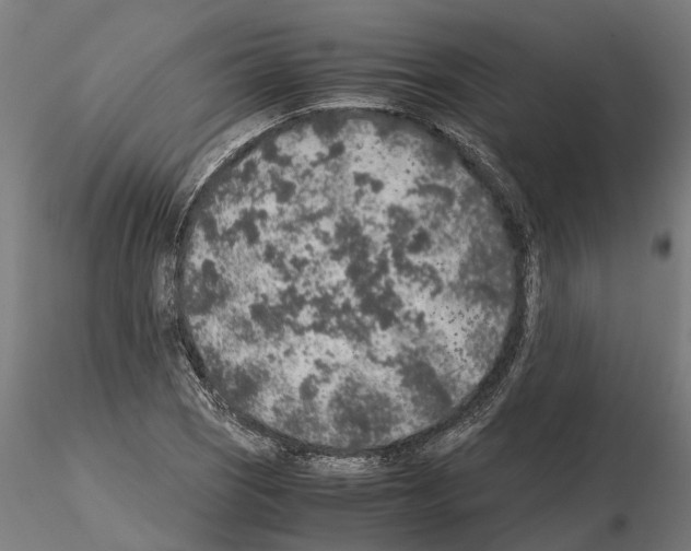 X0000115211121200912091152