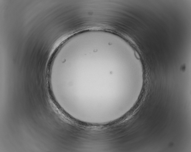 X0000115211122200912091152