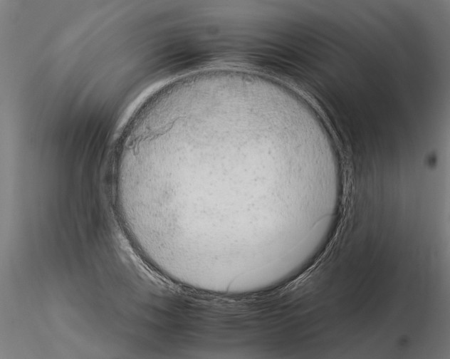 X0000115211123200912091152