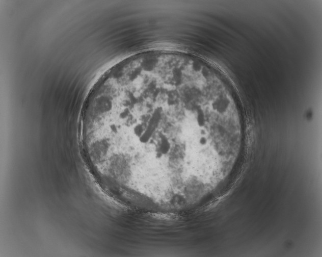 X0000115211125200912091152