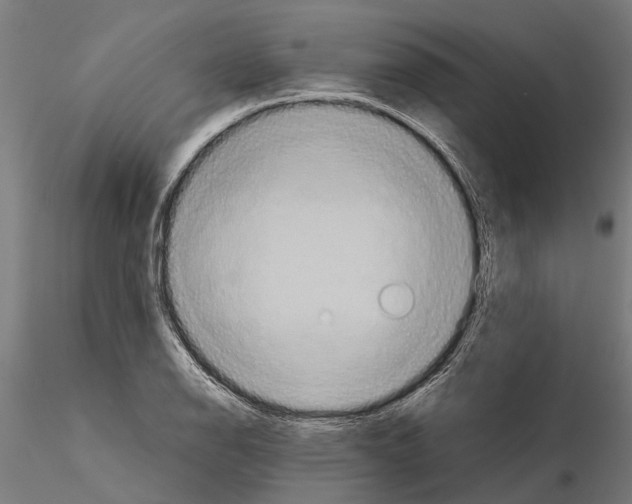 X0000115211126200912091152