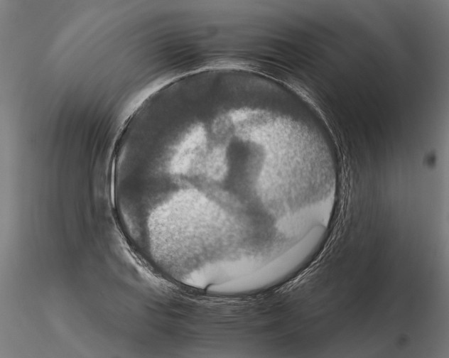 X0000115211127200912091152