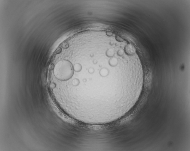 X0000115211130200912091152