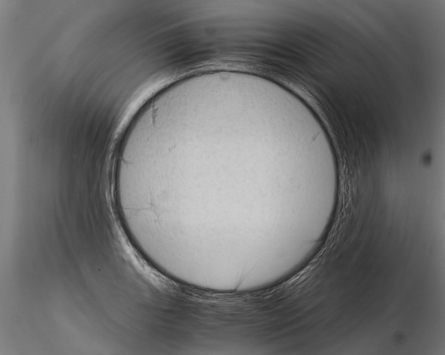 X0000115211131200912091152