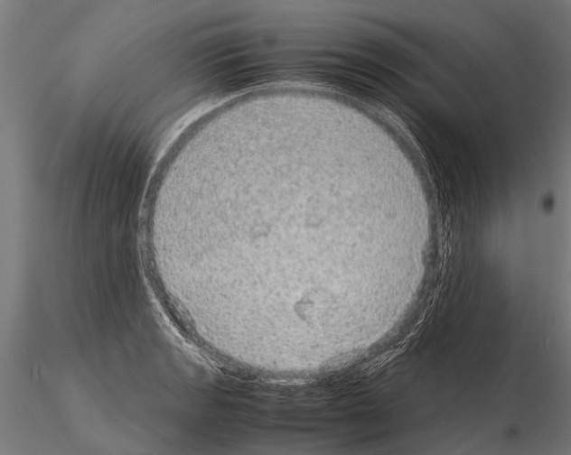 X0000115211133200912091152