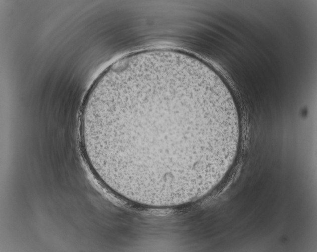 X0000115211134200912091152