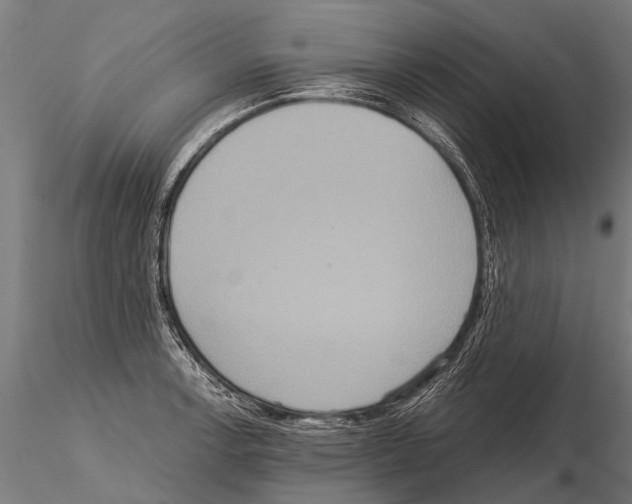 X0000115211138200912091152