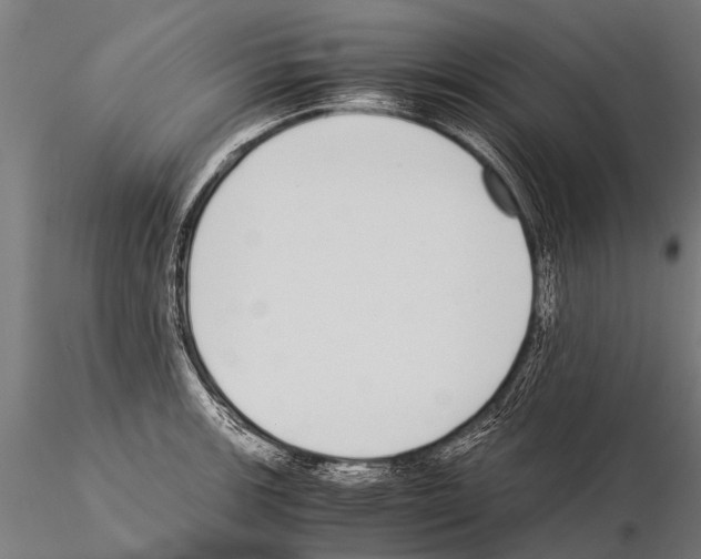 X0000115211139200912091152