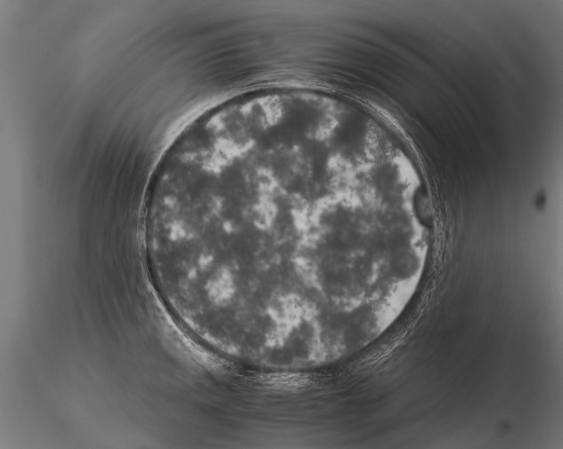 X0000115211141200912091152