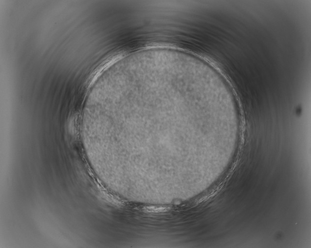 X0000115211145200912091152