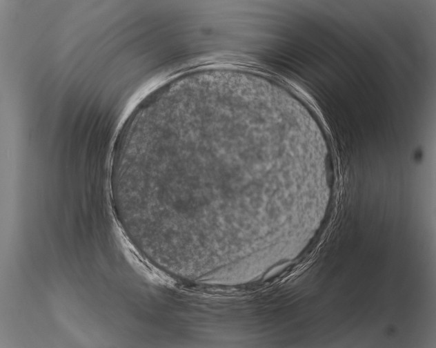 X0000115211146200912091152