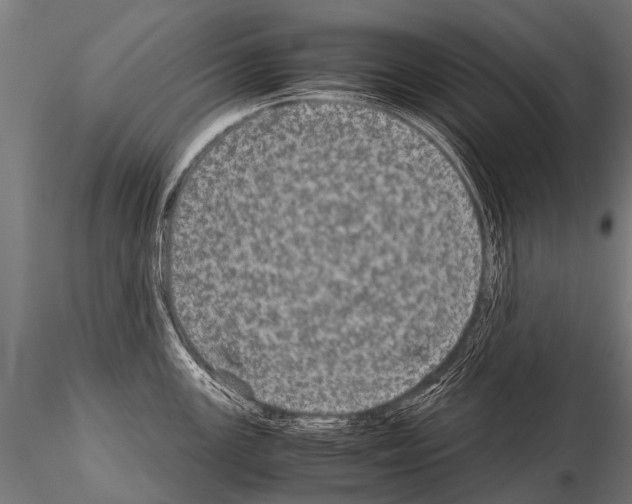 X0000115211147200912091152