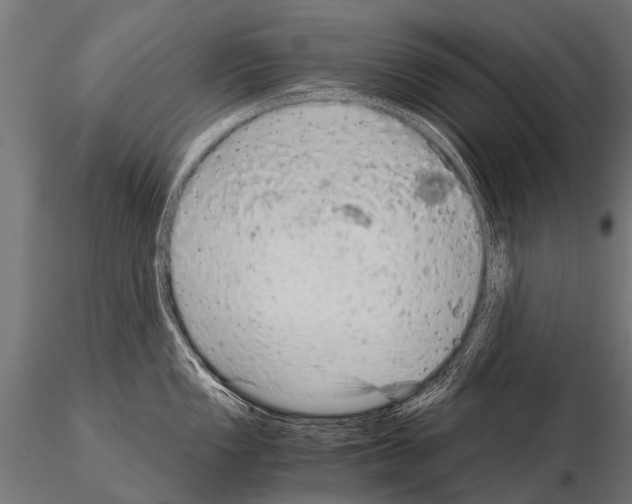 X0000115211149200912091152