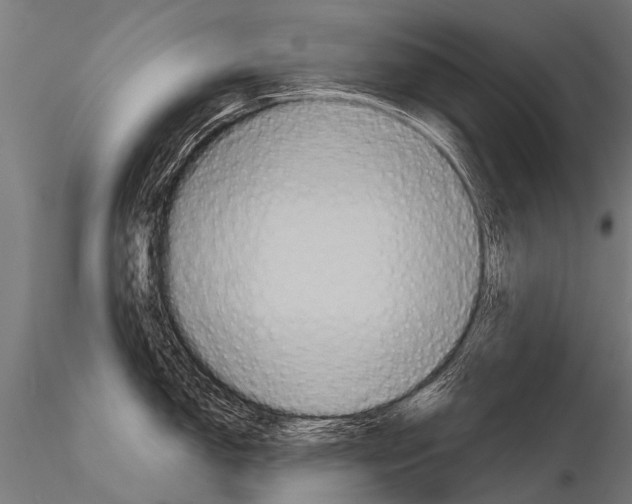 X0000115211150200912091152