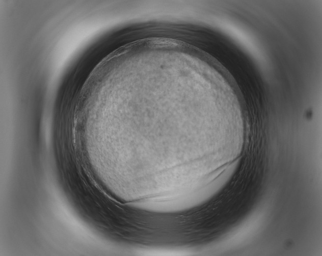 X0000115211151200912091152