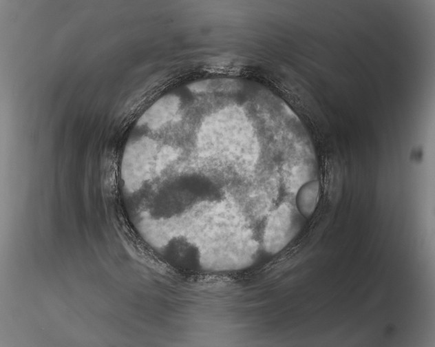 X0000115211154200912091151