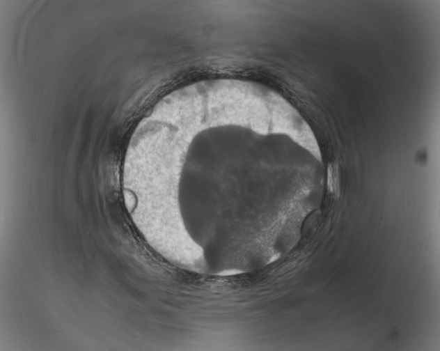 X0000115211155200912091151