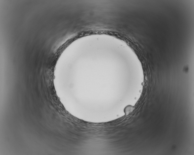 X0000115211157200912091151