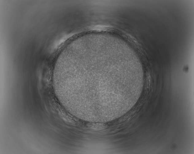 X0000115211158200912091151