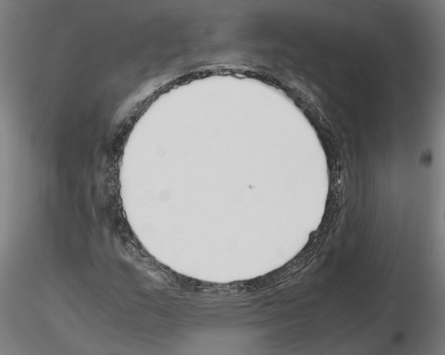 X0000115211159200912091151