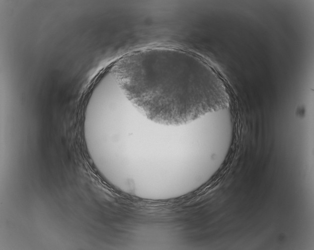 X0000115211160200912091151