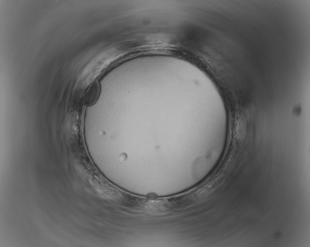 X0000115211161200912091151