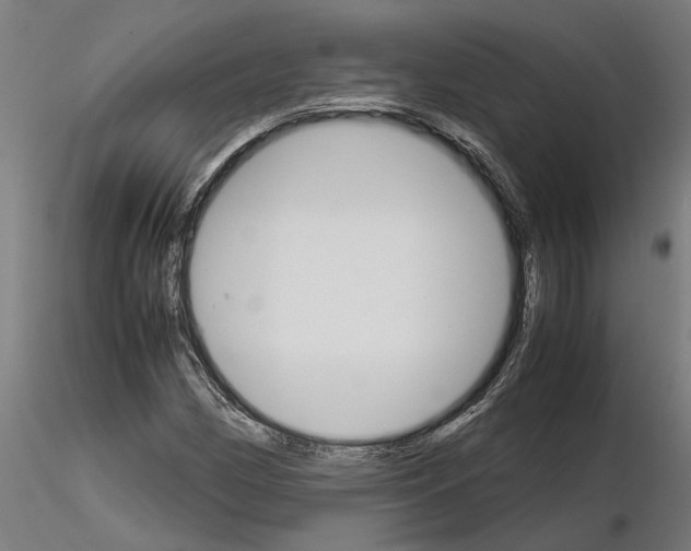 X0000115211162200912091151