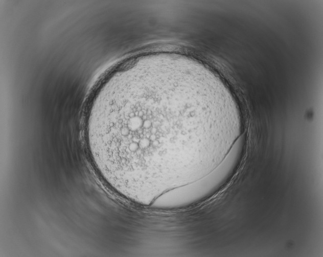 X0000115211164200912091151