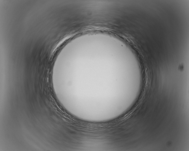 X0000115211165200912091151