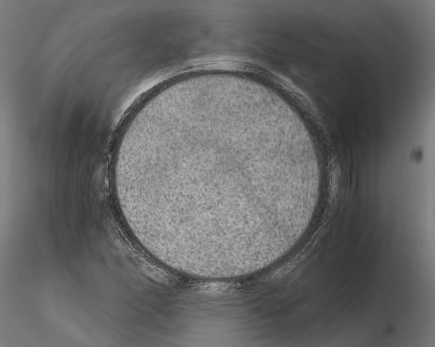 X0000115211166200912091151