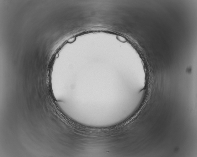 X0000115211167200912091151