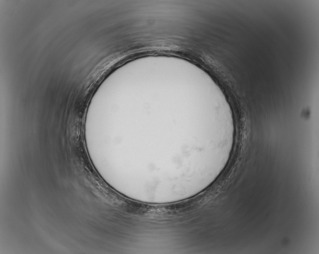 X0000115211169200912091151