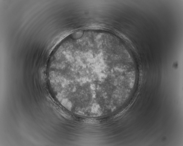 X0000115211170200912091151