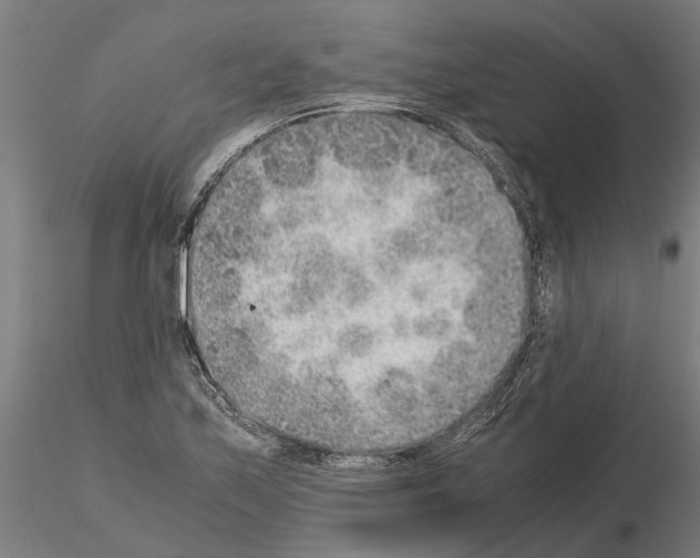 X0000115211171200912091151