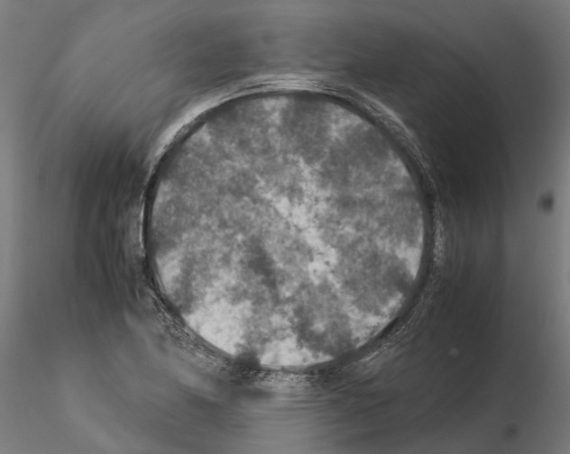 X0000115211174200912091151