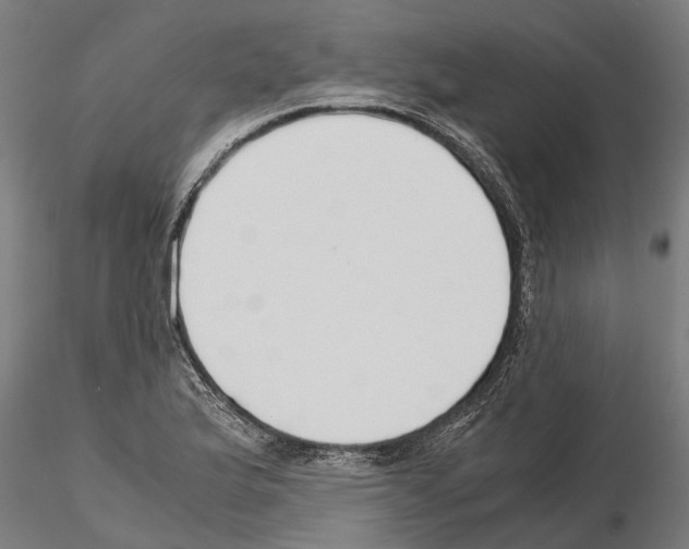 X0000115211175200912091151