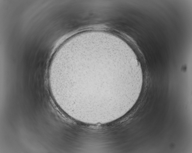 X0000115211176200912091151