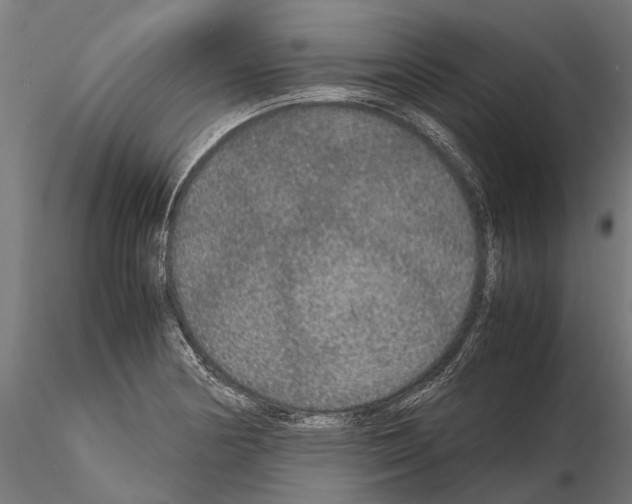 X0000115211178200912091151