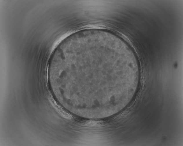 X0000115211179200912091151