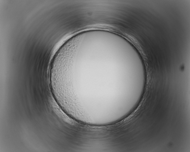 X0000115211180200912091151