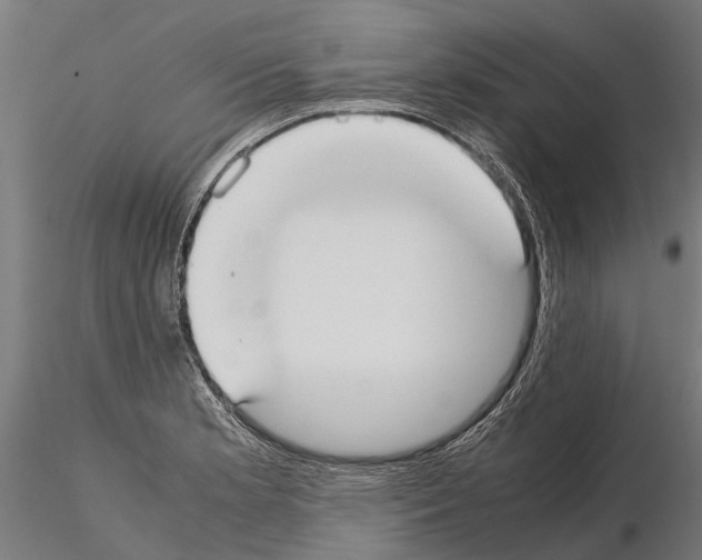 X0000115211181200912091151