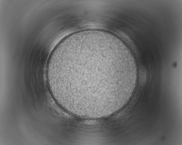 X0000115211182200912091151