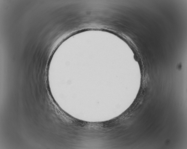 X0000115211183200912091151