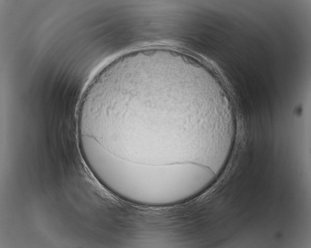 X0000115211184200912091151