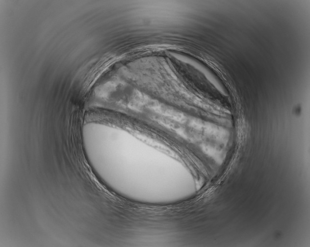 X0000115211185200912091151