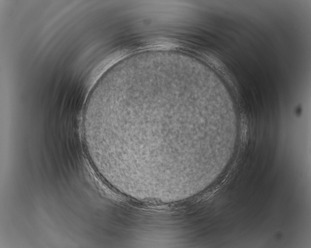 X0000115211186200912091151