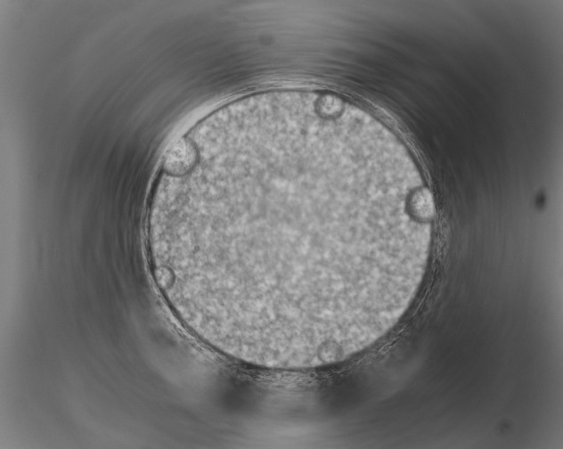 X0000115211187200912091151