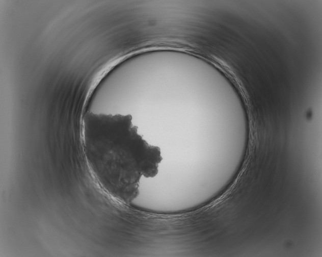 X0000115211188200912091151