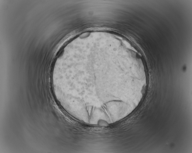 X0000115211189200912091151